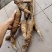 野生牛大力电话***********