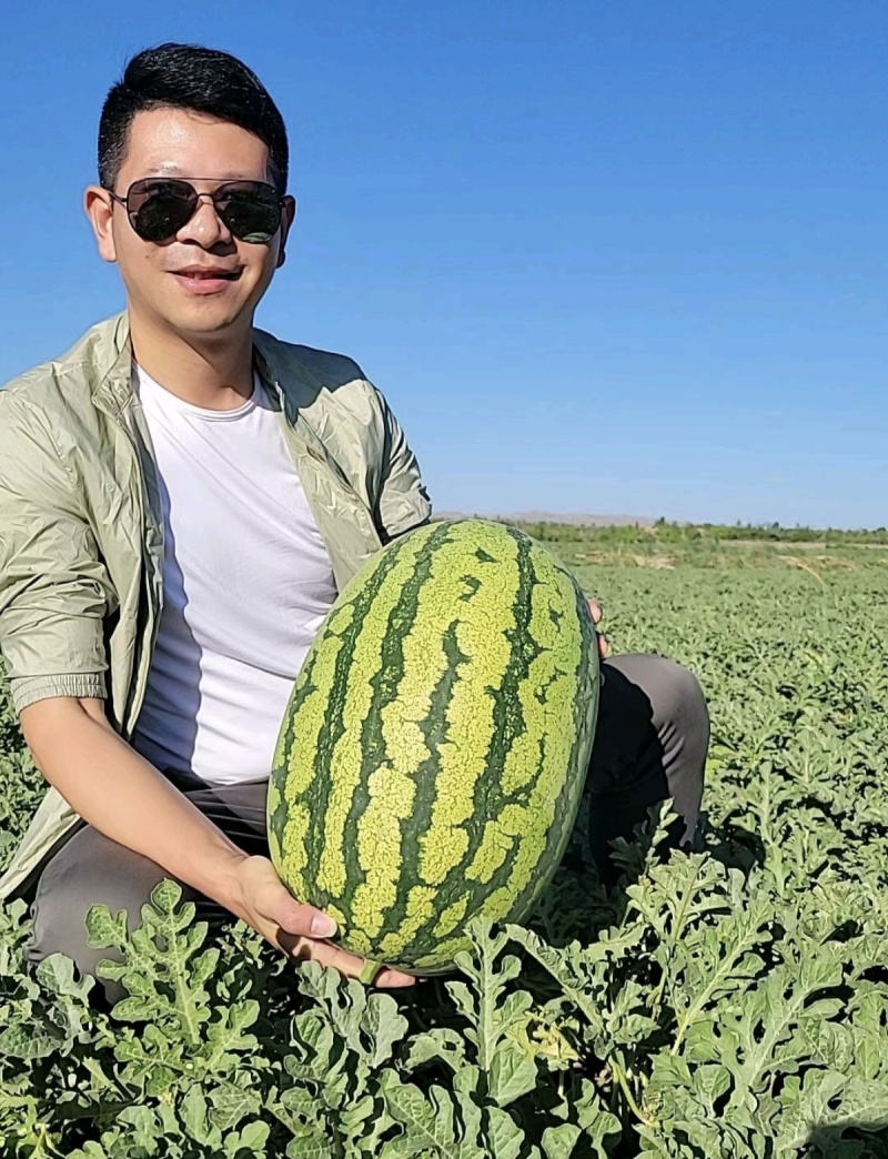 热销《硒砂瓜》石头瓜万亩基地大红瓤小薄皮