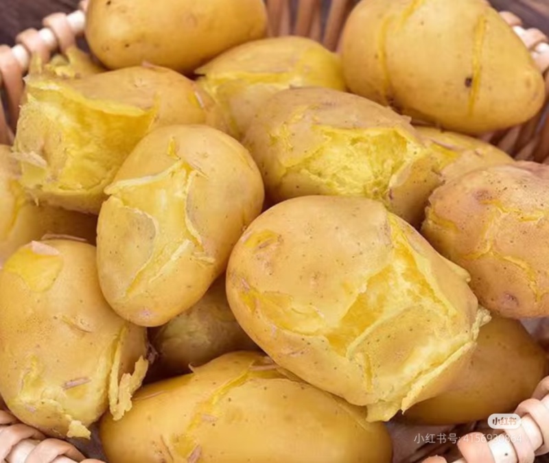 甘肃土豆