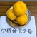 蒙阴蜜桃水蜜桃黄桃黄金蟠桃成熟供应