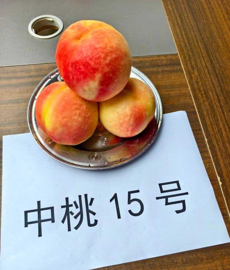 蒙阴蜜桃水蜜桃黄桃黄金蟠桃成熟供应