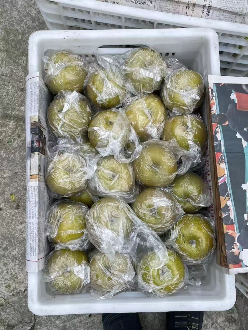 黄花梨，翠冠梨，皇冠梨