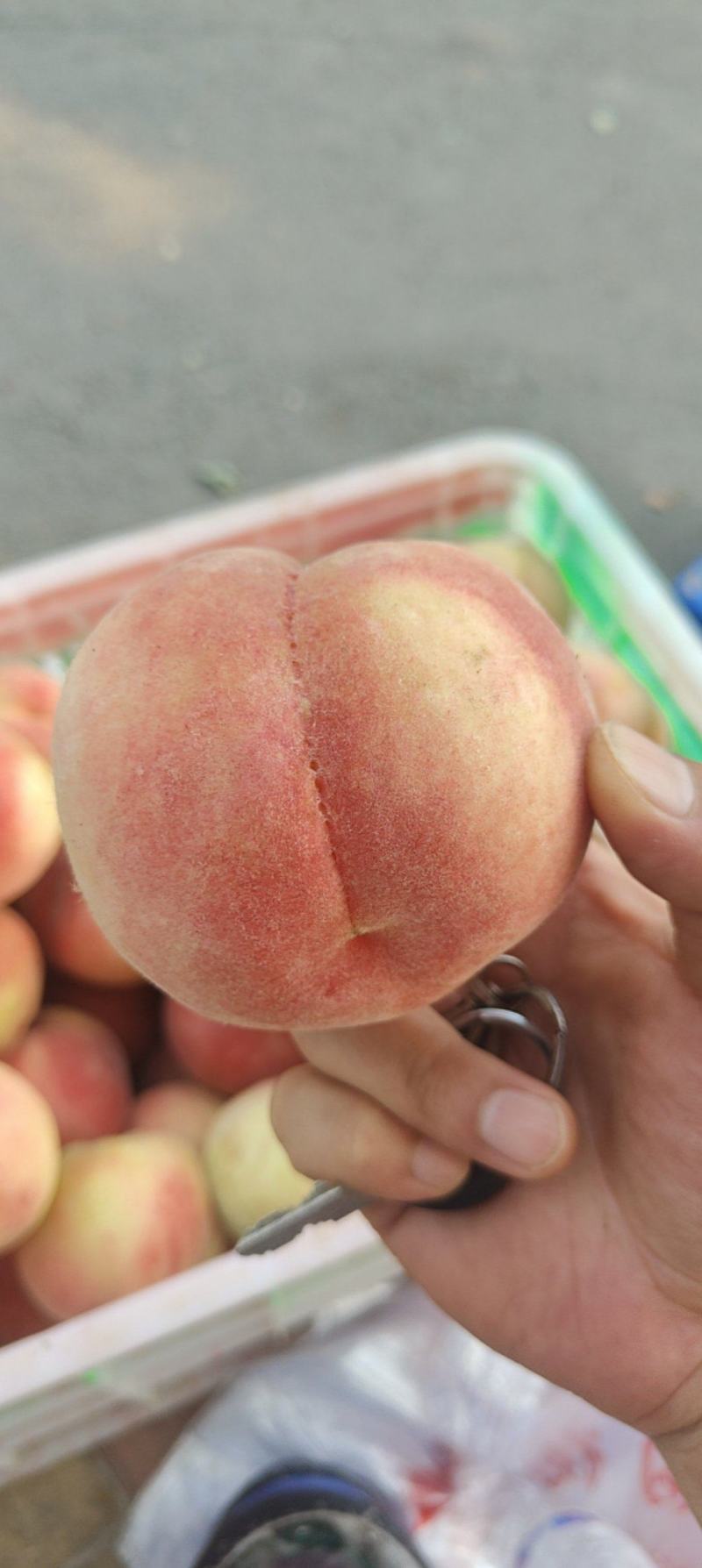 礼品桃