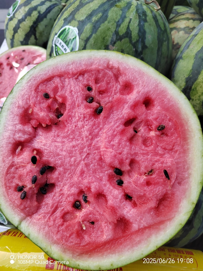 精品露天西瓜