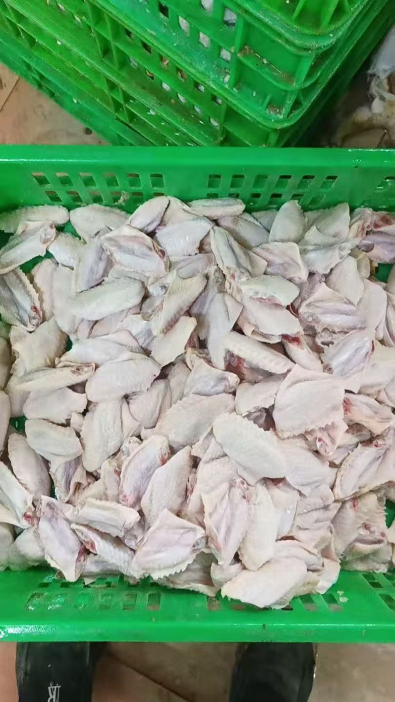 鸡翅中