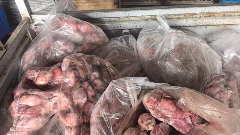 羊蛋羊睾丸基地直销量大质优价格优惠欢迎咨询采购