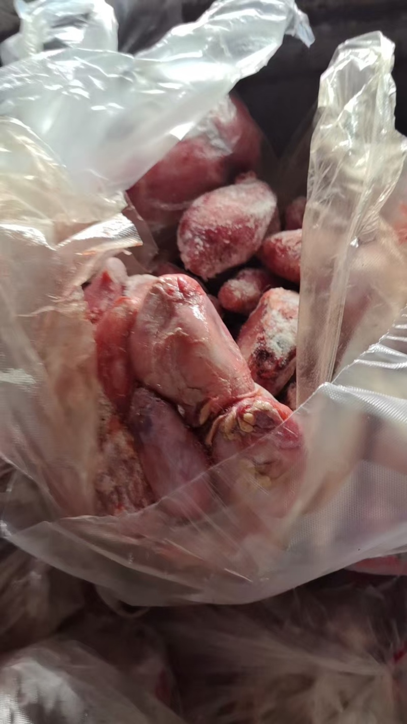 羊蛋羊睾丸基地直销量大质优价格优惠欢迎咨询采购