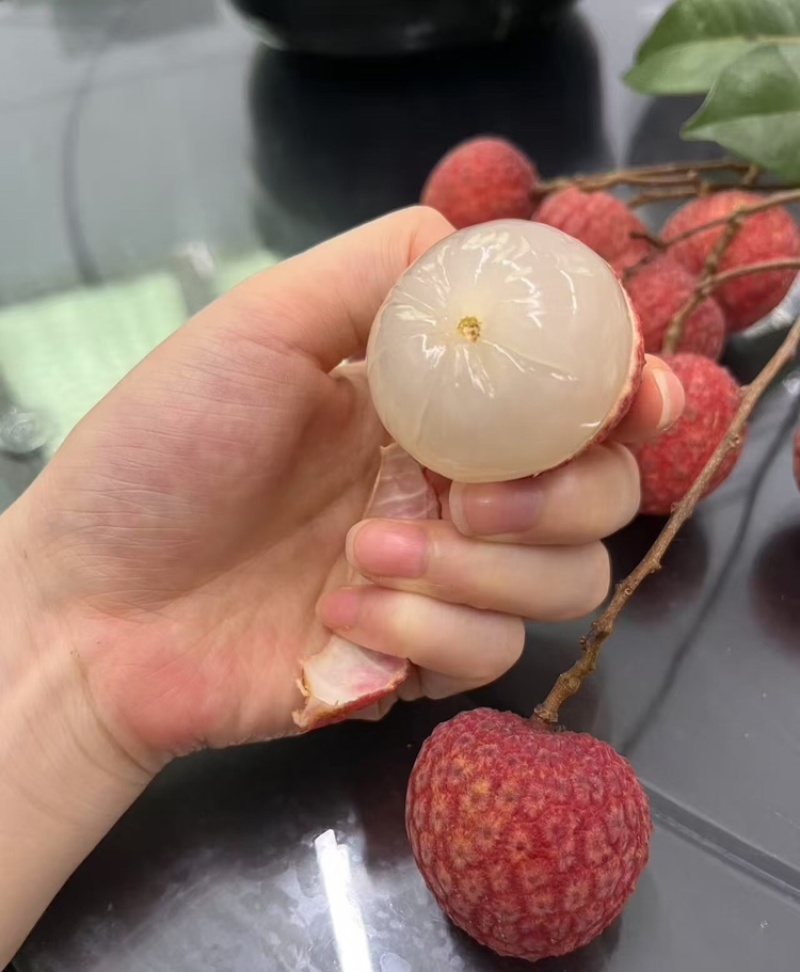 【实力供货】广西禾荔枝禾荔荔枝淮枝荔枝代发全国