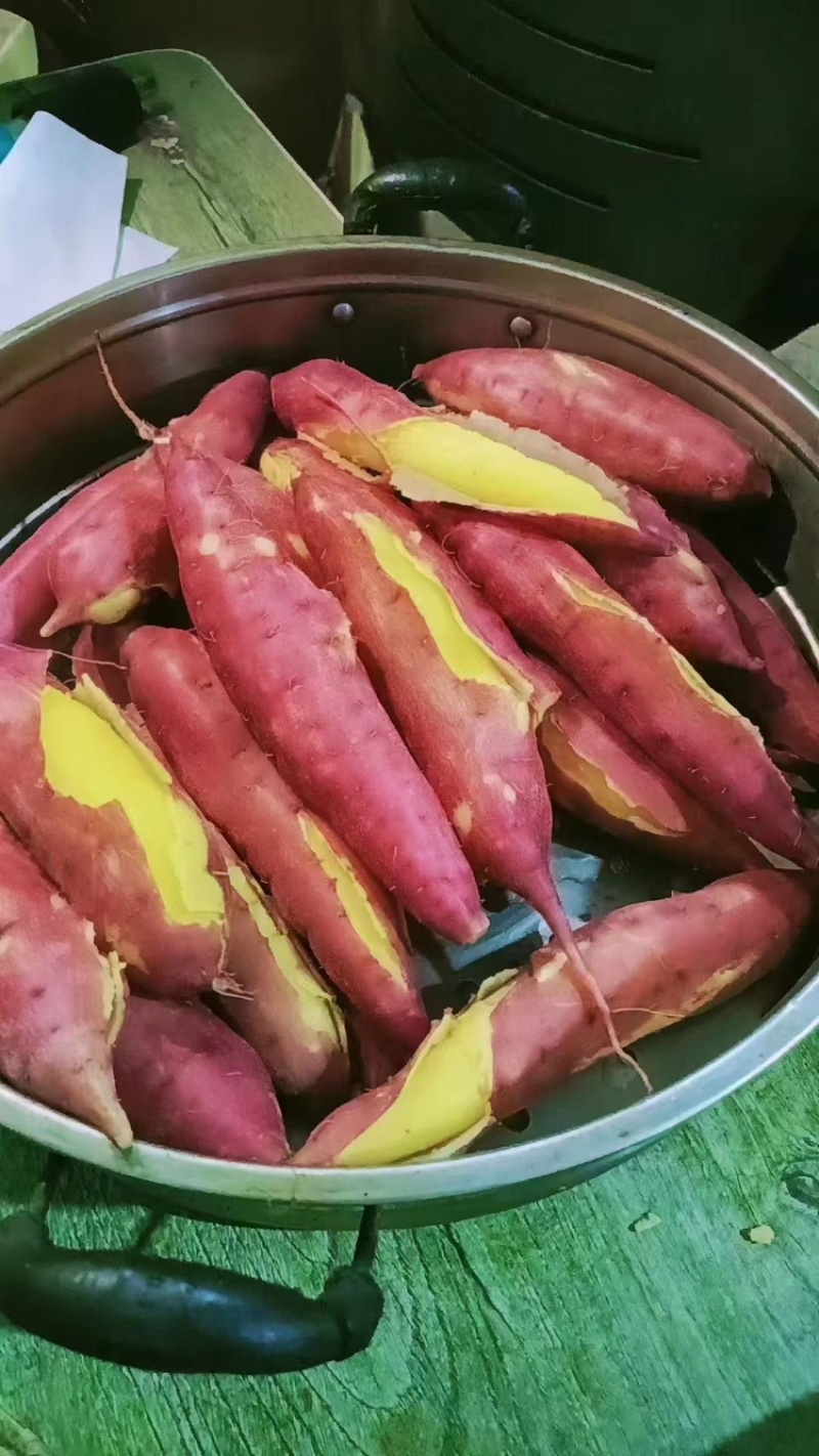 板栗红薯，陕西板栗红薯