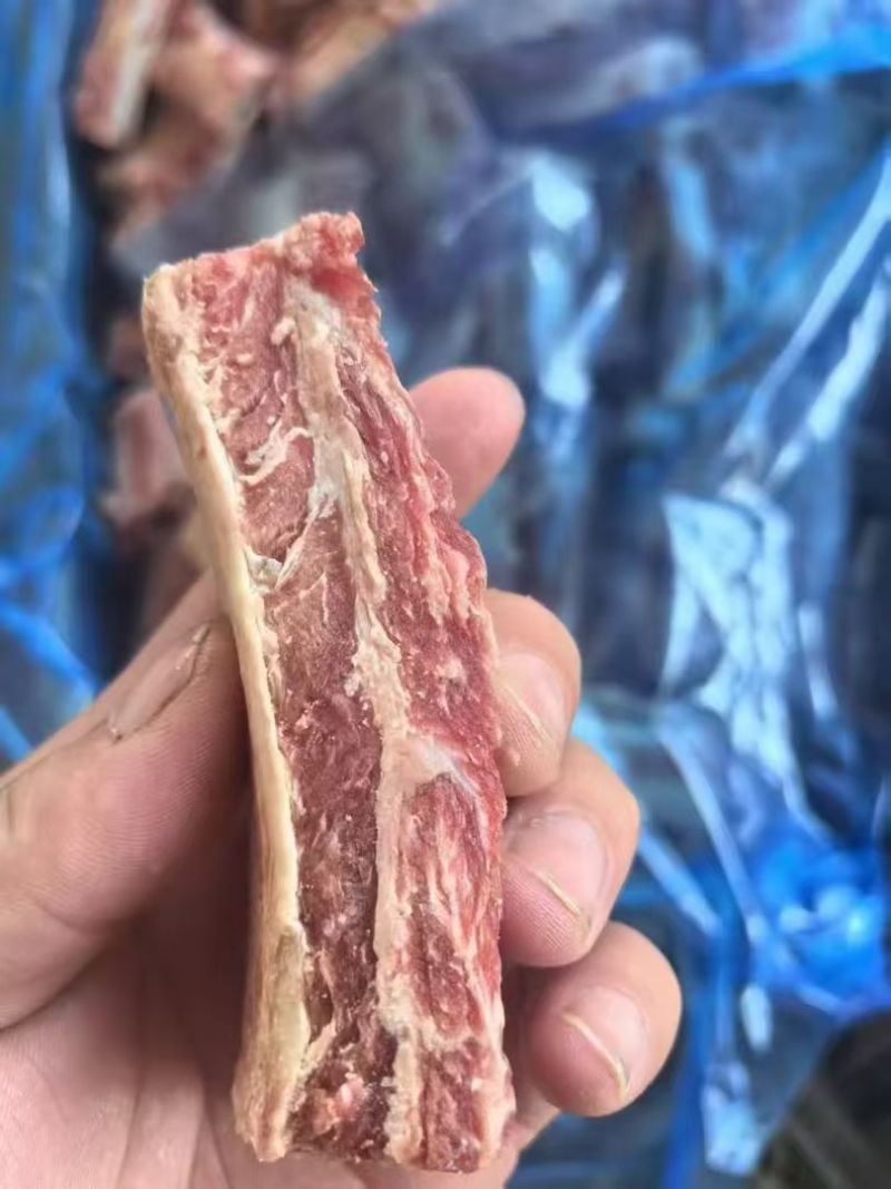 牛肋排段