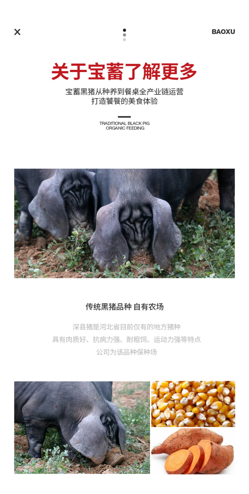 宝蓄黑猪肉鲜肉礼盒腿肉五花肉大里脊礼盒装可视频看货