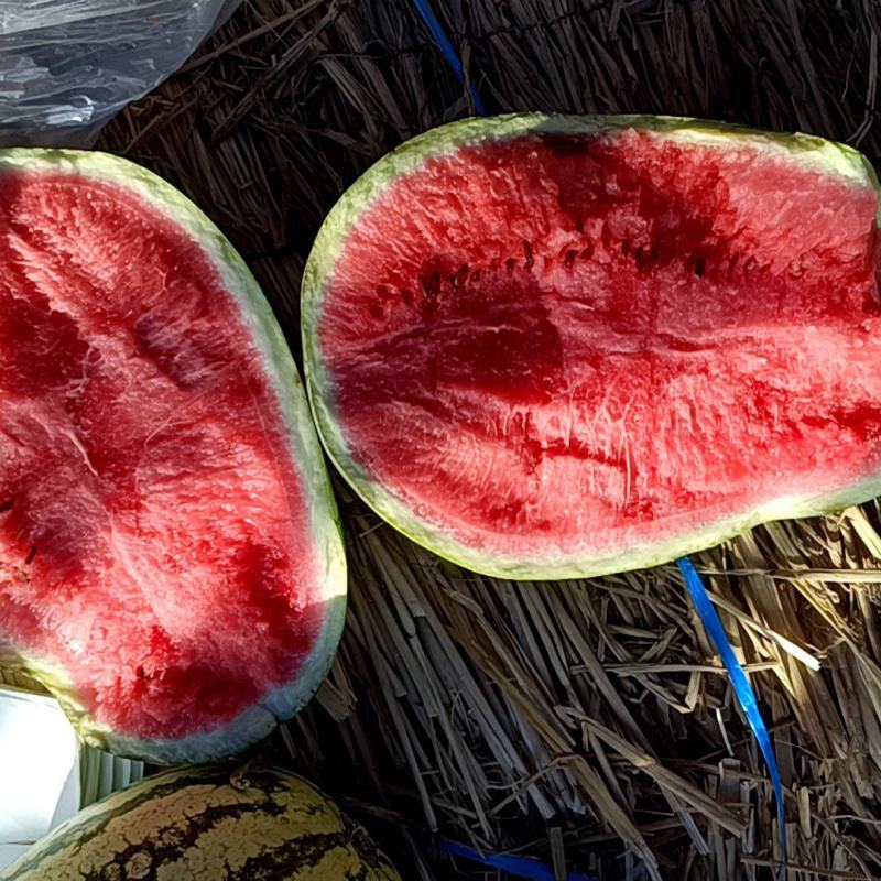 正宗宁夏硒砂瓜。