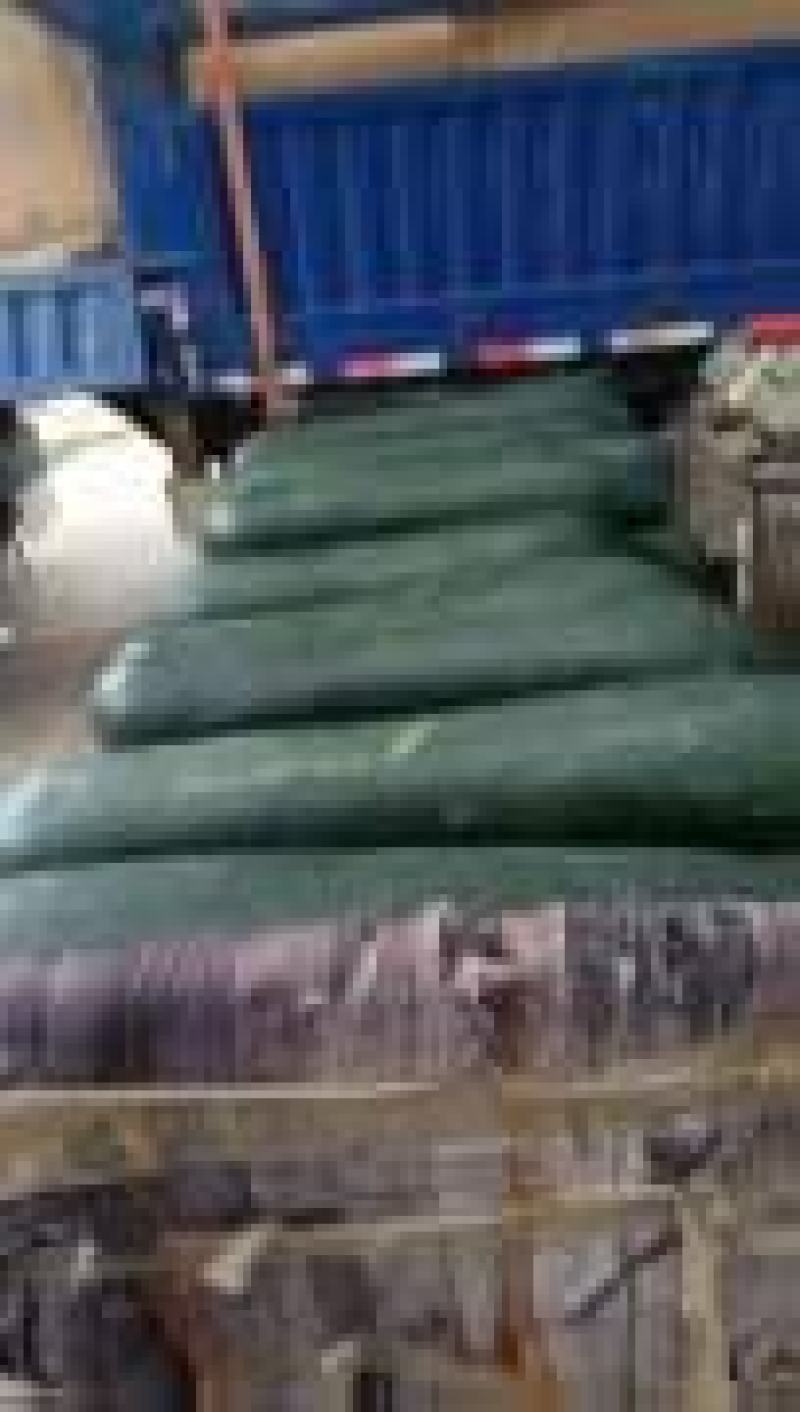 黑皮中条396冬瓜大量上市产地直发，品质保证，服务周到