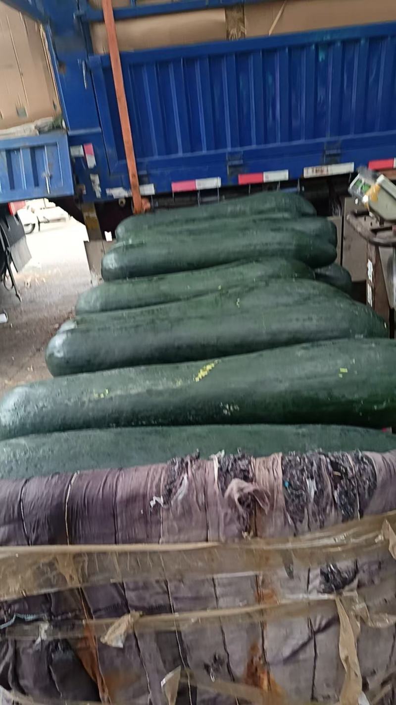 黑皮中条396冬瓜大量上市产地直发，品质保证，服务周到