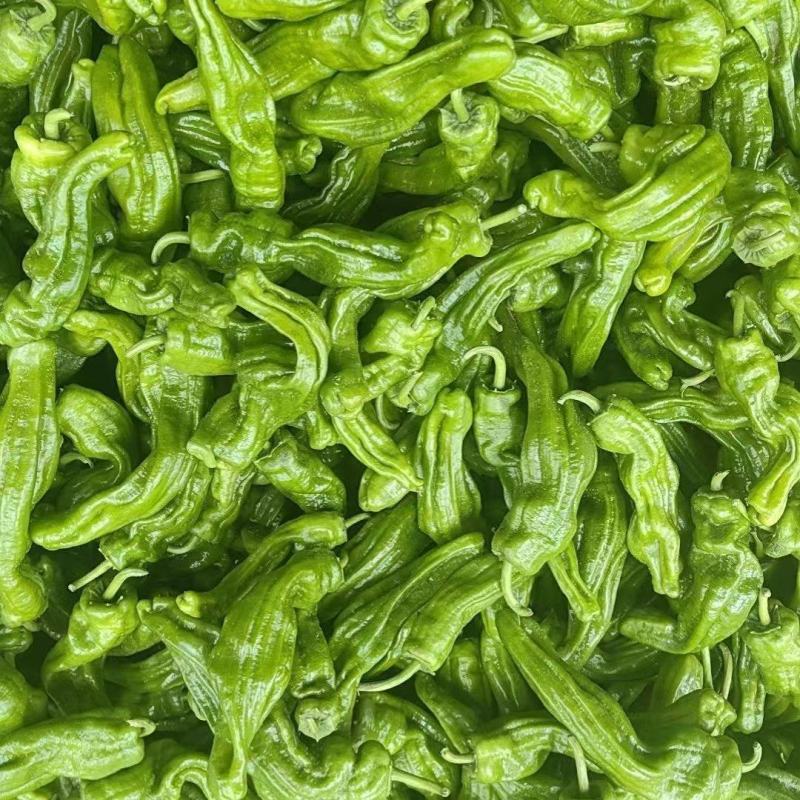 芜湖椒