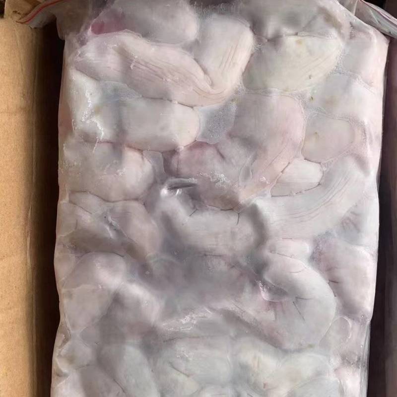 带把中花肠