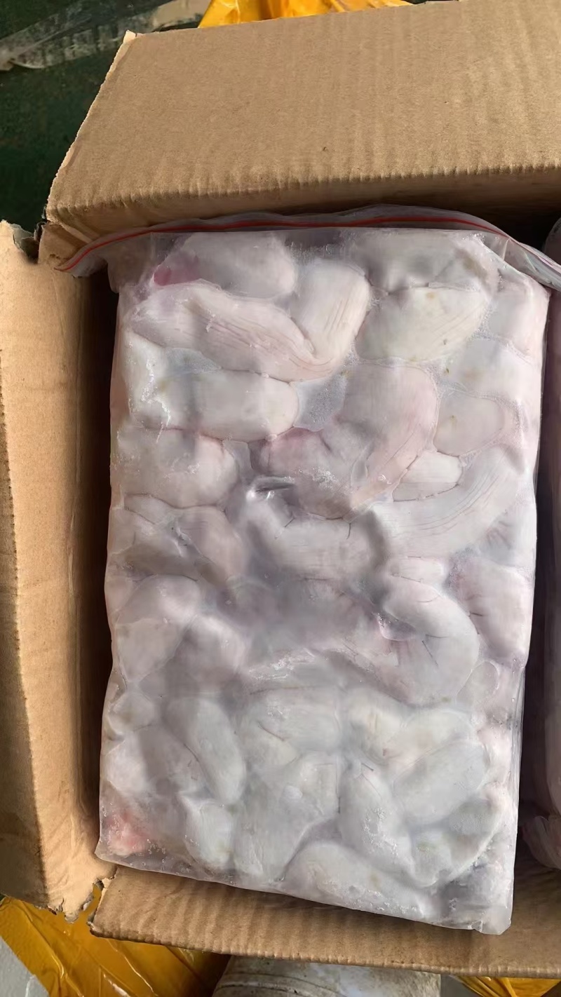 带把中花肠
