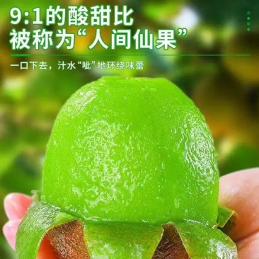 绿心猕猴桃米粮一号产地直发现摘现发