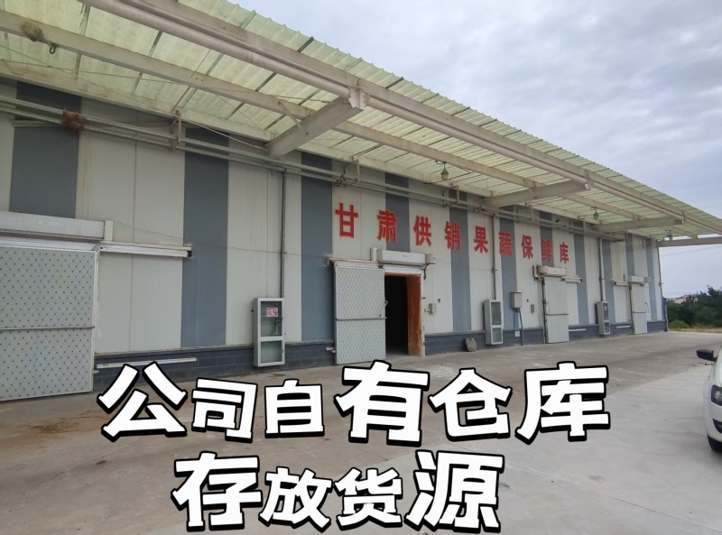 精品优选黄葱，价格优惠，大量现货