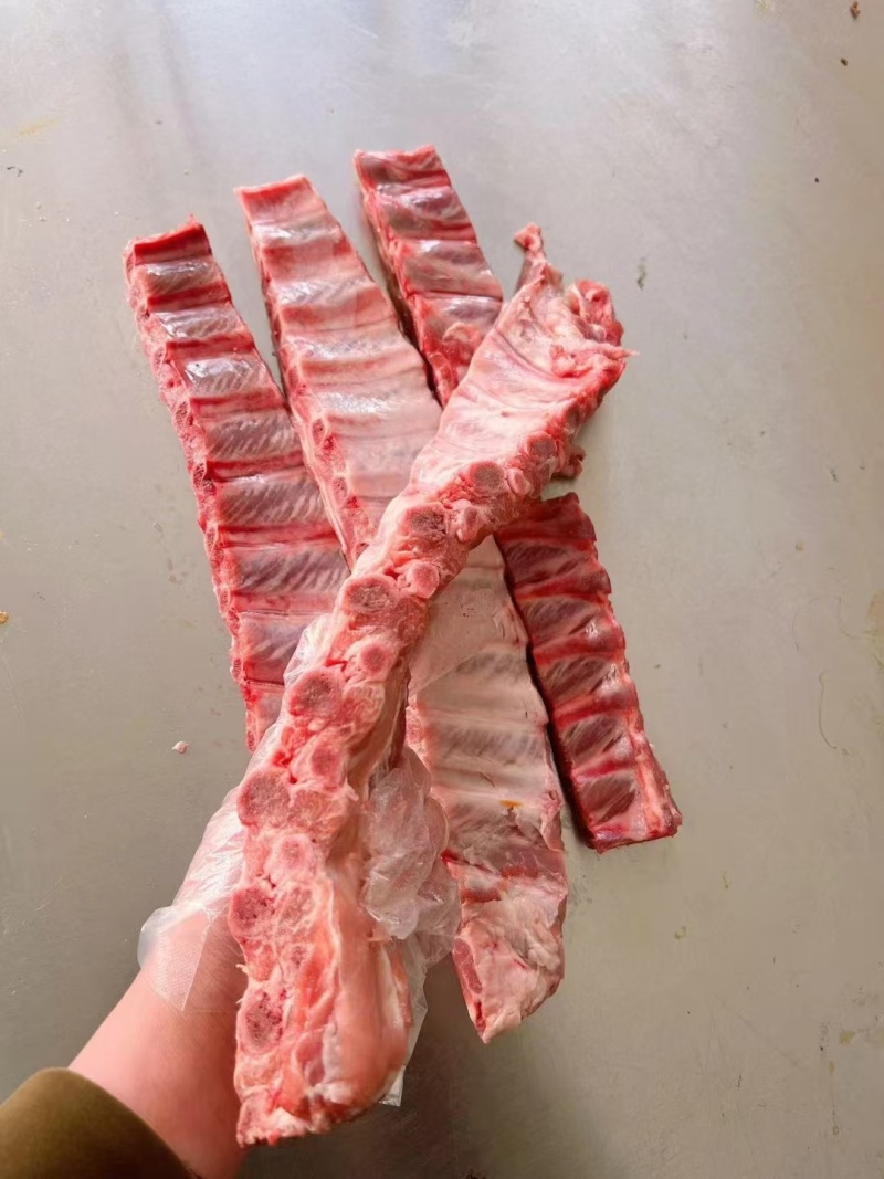 精修多肉寸排厂家直销量大从优