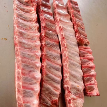 精修多肉寸排厂家直销量大从优