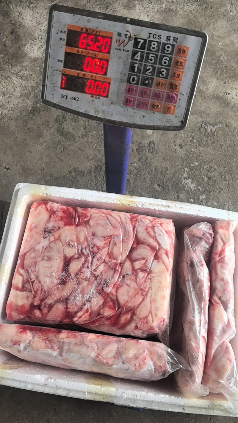 超大花鲢泡