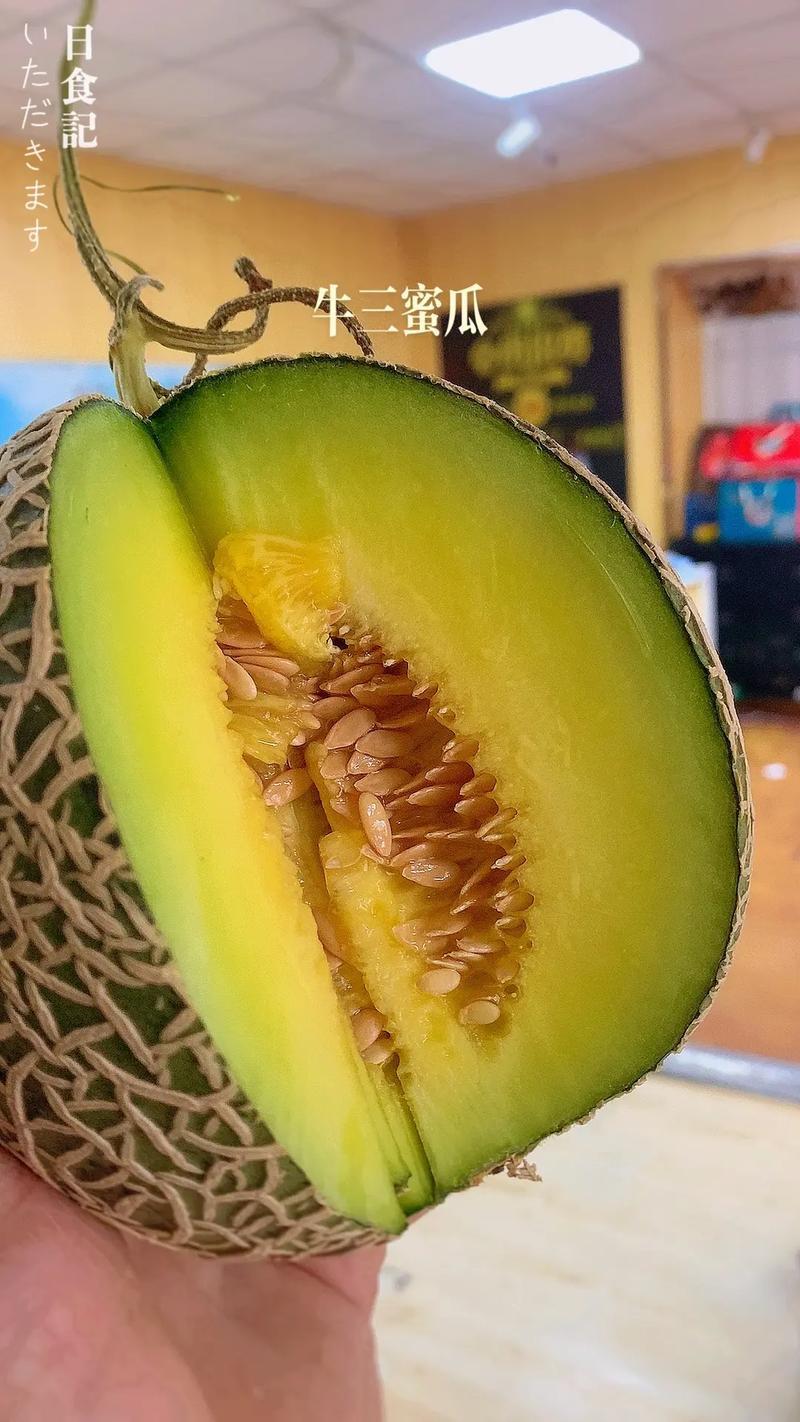 牛三蜜瓜