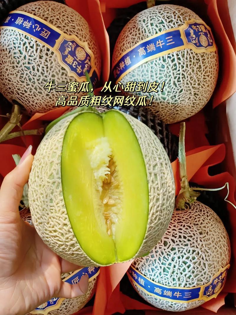 牛三蜜瓜