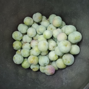 半边红李子，10-15克每天可以出货4万斤
