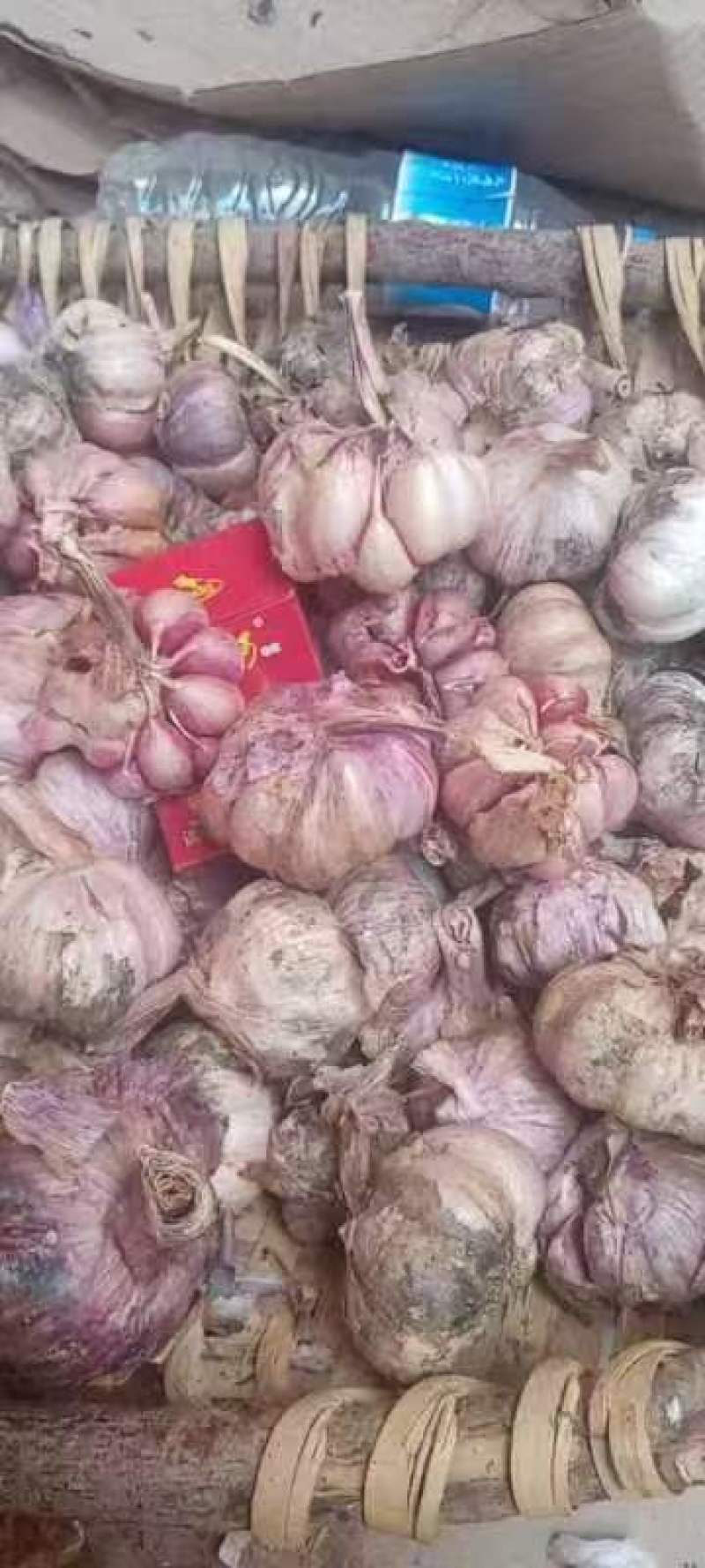 云南紫皮大蒜，对接各大批发市场，对接档口商场超市等