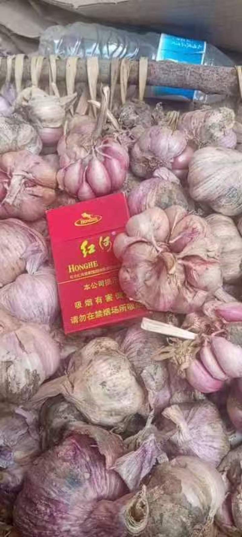 云南紫皮大蒜，对接各大批发市场，对接档口商场超市等