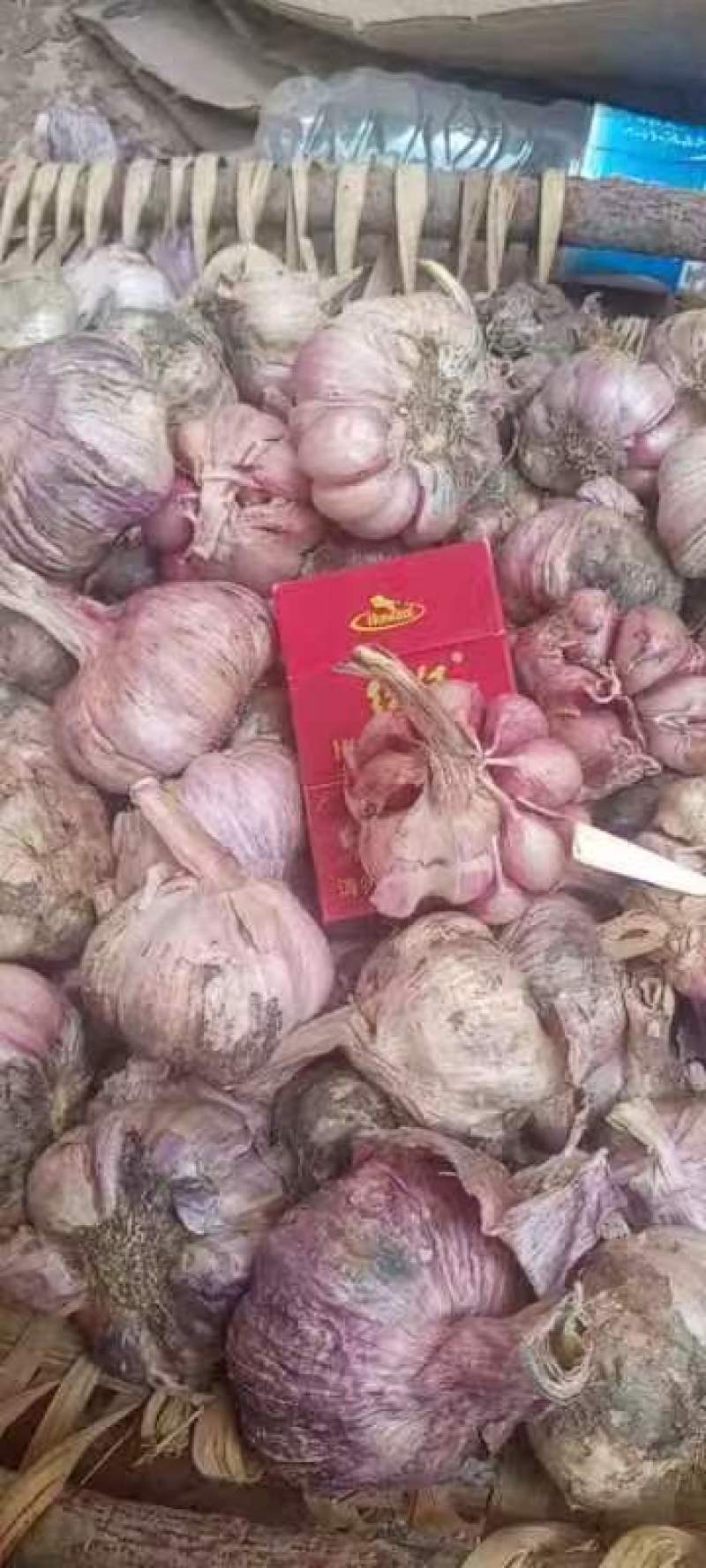 云南紫皮大蒜，对接各大批发市场，对接档口商场超市等