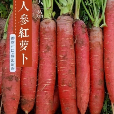 水果红萝卜生吃脆甜电商一件代发直播提供场地机制拉满