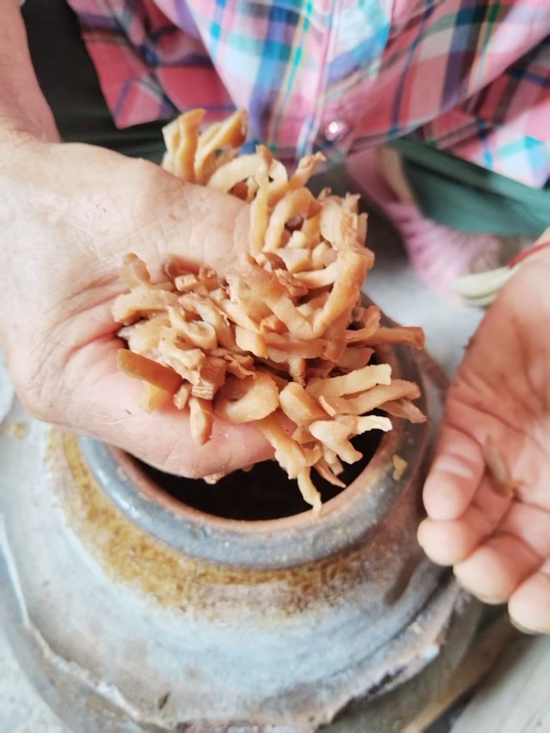大头菜