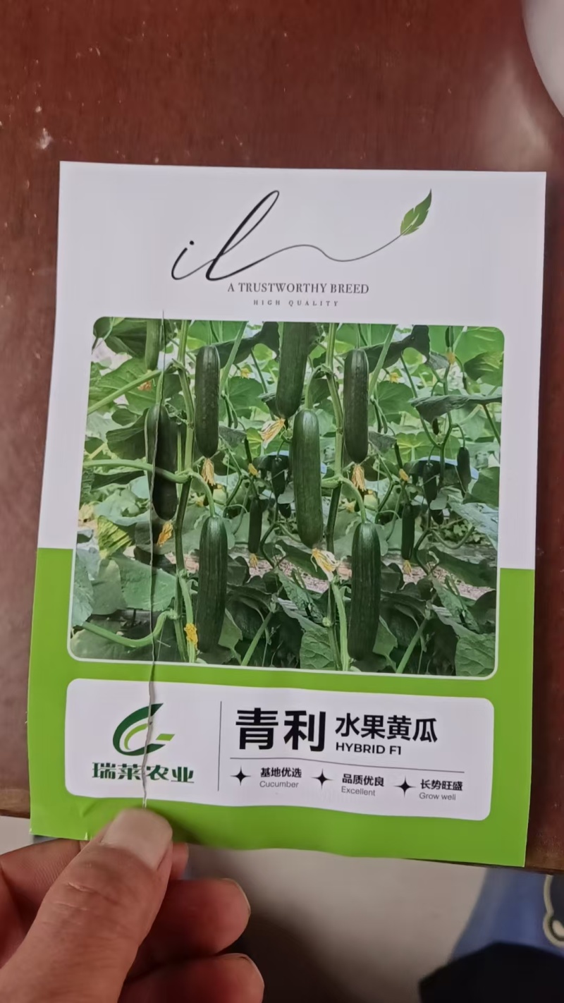 水果小黄瓜
