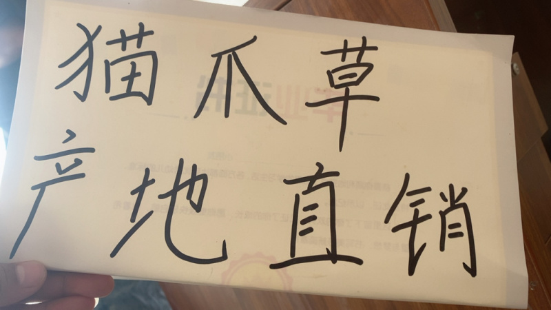 猫爪草