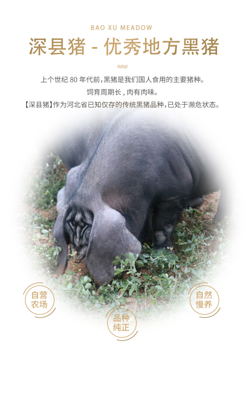 宝蓄黑猪后腿肉谷物喂养品质优等后座肉现宰现发