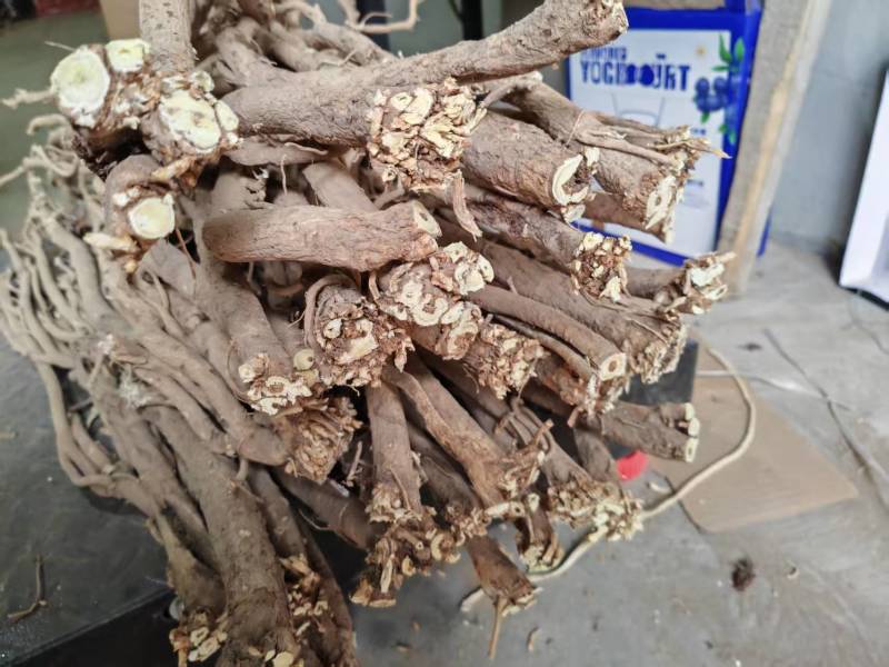 【推荐】野生黄芪规格齐全现货供应货源充足欢迎咨询下单