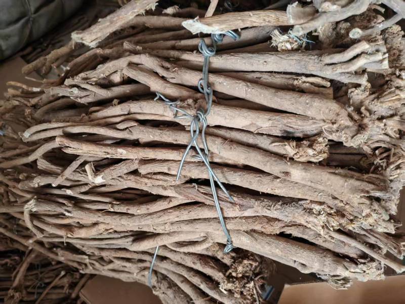 【推荐】野生黄芪规格齐全现货供应货源充足欢迎咨询下单