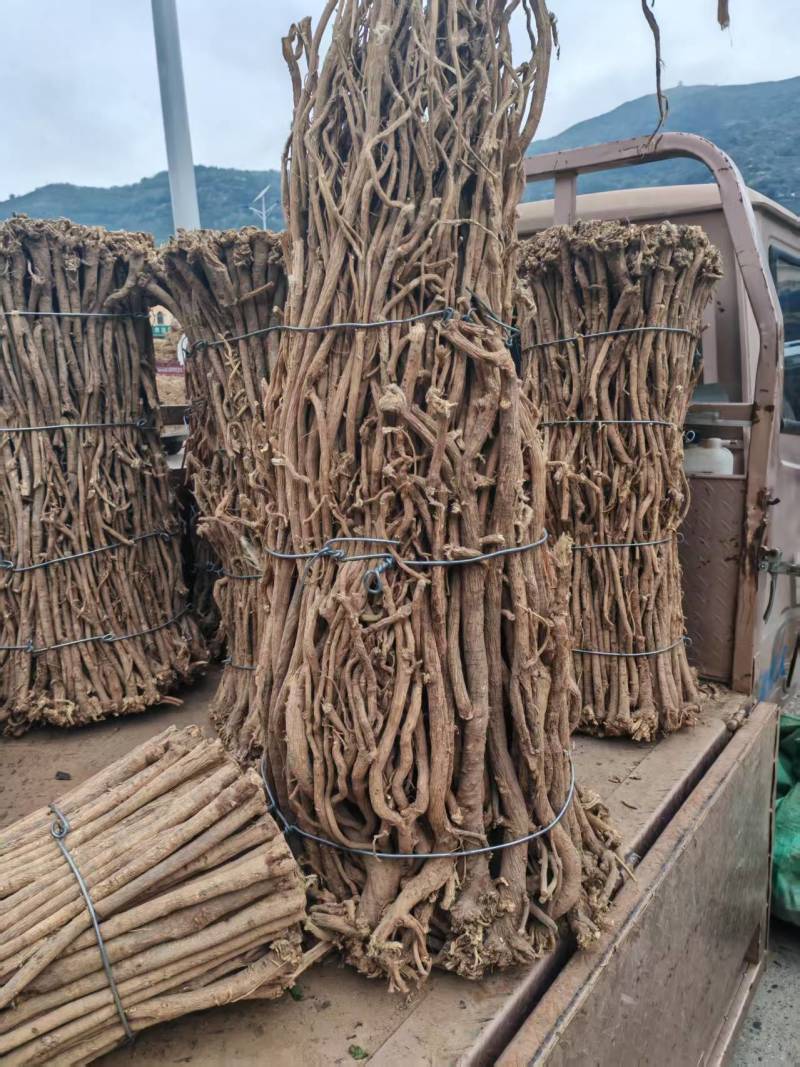 【推荐】野生黄芪规格齐全现货供应货源充足欢迎咨询下单