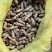 花生大量上市，质量好价格美丽质量好价格有需要的联系