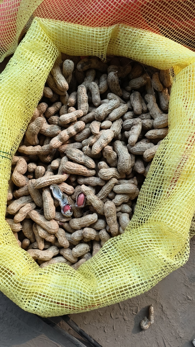 花生大量上市，质量好价格美丽质量好价格有需要的联系