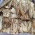 【精选】甘肃岷县当归佛手片一手货源量大价优可视频看货