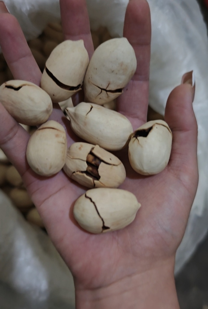 碧根果坚果源头工厂