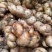 湖南邵阳沙姜大量接单，产品预售中，欢迎来电