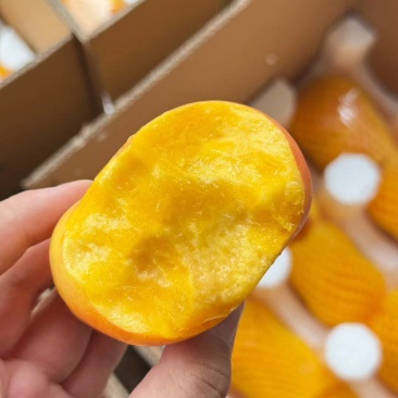 一件代发大量有货