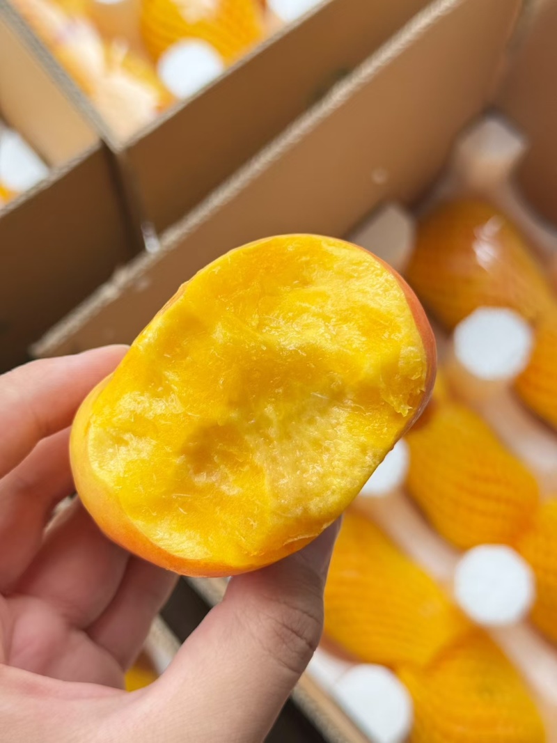 一件代发大量有货