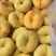 酥梨345个头标准通货精品蔬菜/砀山梨油桃