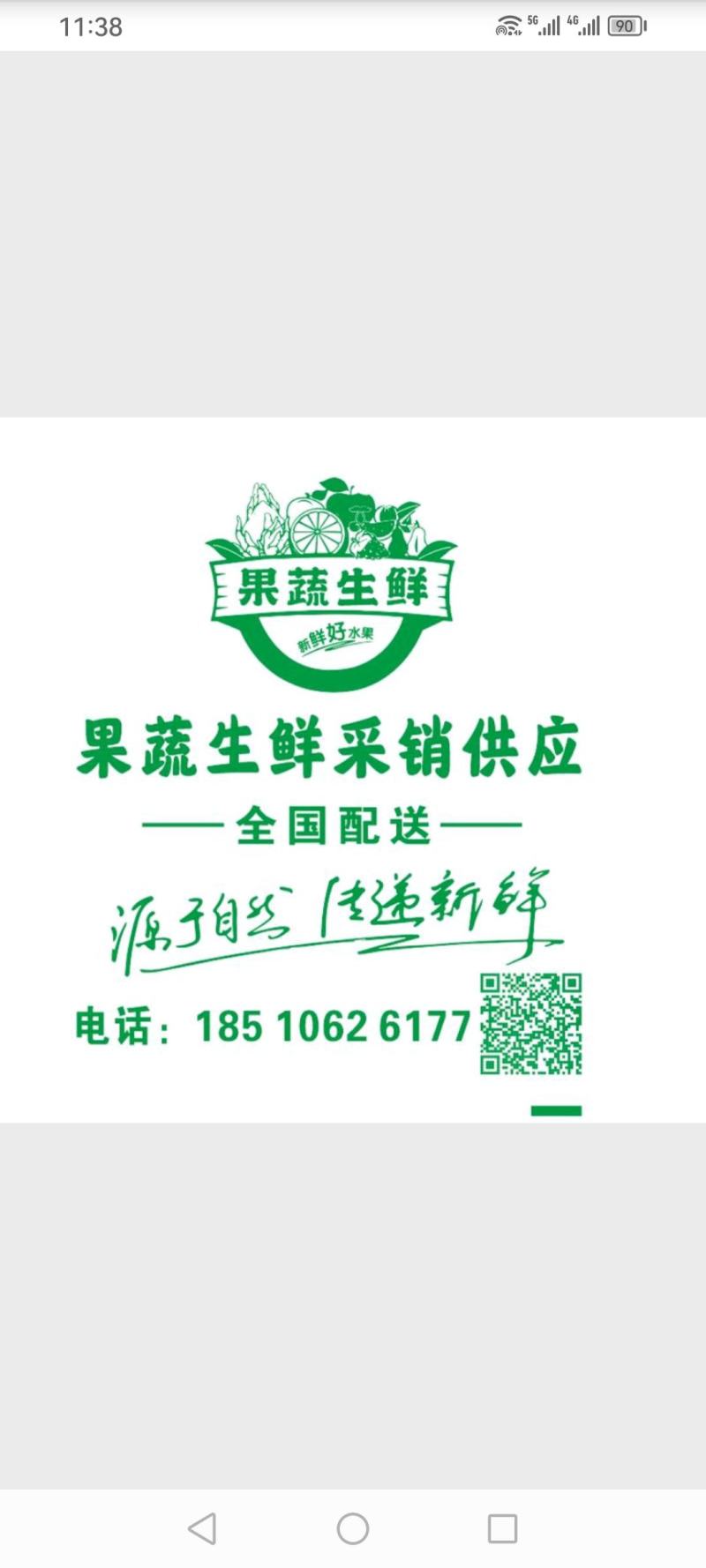 泰山板栗/泰安板栗产地发货/油板栗/通货50/6070粒