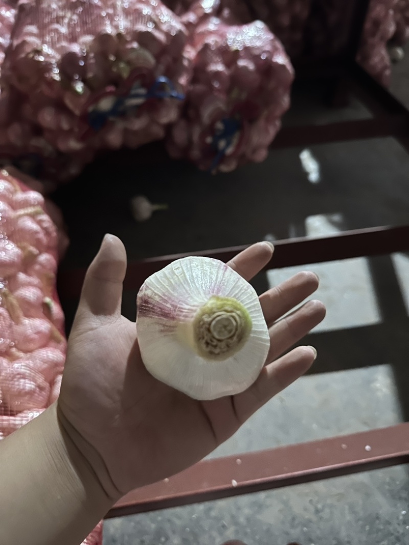 鲜蒜
